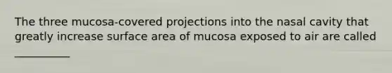 The three mucosa-covered projections into the nasal cavity that greatly increase surface area of mucosa exposed to air are called __________