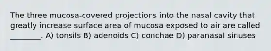 The three mucosa-covered projections into the nasal cavity that greatly increase surface area of mucosa exposed to air are called ________. A) tonsils B) adenoids C) conchae D) paranasal sinuses