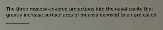 The three mucosa-covered projections into the nasal cavity that greatly increase surface area of mucosa exposed to air are called __________.