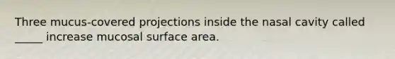 Three mucus-covered projections inside the nasal cavity called _____ increase mucosal surface area.