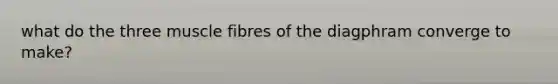 what do the three muscle fibres of the diagphram converge to make?