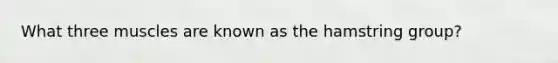 What three muscles are known as the hamstring group?
