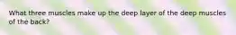 What three muscles make up the deep layer of the deep muscles of the back?