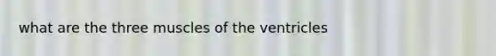 what are the three muscles of the ventricles