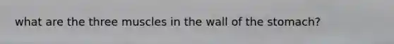 what are the three muscles in the wall of the stomach?
