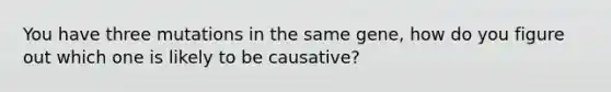 You have three mutations in the same gene, how do you figure out which one is likely to be causative?