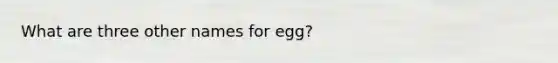 What are three other names for egg?