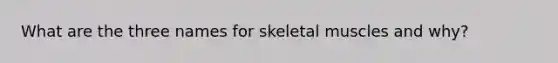 What are the three names for skeletal muscles and why?