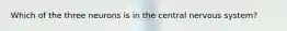 Which of the three neurons is in the central nervous system?