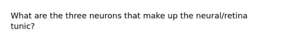 What are the three neurons that make up the neural/retina tunic?