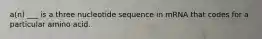 a(n) ___ is a three nucleotide sequence in mRNA that codes for a particular amino acid.