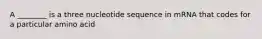 A ________ is a three nucleotide sequence in mRNA that codes for a particular amino acid