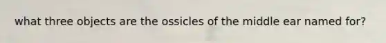 what three objects are the ossicles of the middle ear named for?