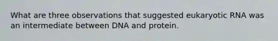 What are three observations that suggested eukaryotic RNA was an intermediate between DNA and protein.