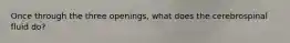 Once through the three openings, what does the cerebrospinal fluid do?