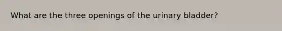 What are the three openings of the urinary bladder?