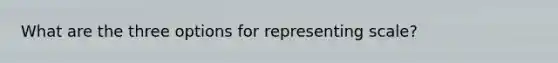 What are the three options for representing scale?