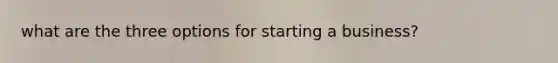 what are the three options for starting a business?