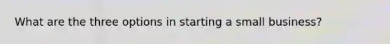 What are the three options in starting a small business?