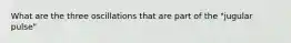 What are the three oscillations that are part of the "jugular pulse"