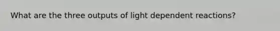 What are the three outputs of light dependent reactions?