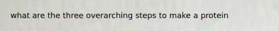 what are the three overarching steps to make a protein