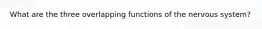 What are the three overlapping functions of the nervous system?