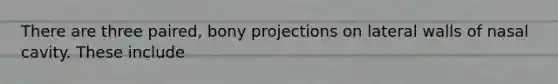 There are three paired, bony projections on lateral walls of nasal cavity. These include