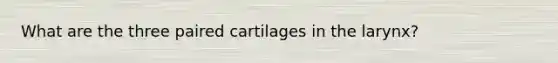 What are the three paired cartilages in the larynx?