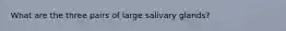 What are the three pairs of large salivary glands?