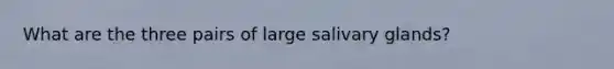 What are the three pairs of large salivary glands?