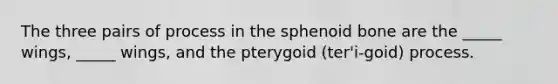 The three pairs of process in the sphenoid bone are the _____ wings, _____ wings, and the pterygoid (ter'i-goid) process.