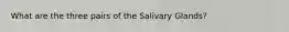 What are the three pairs of the Salivary Glands?