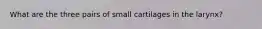 What are the three pairs of small cartilages in the larynx?