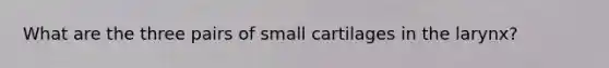 What are the three pairs of small cartilages in the larynx?