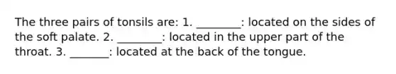 The three pairs of tonsils are: 1. ________: located on the sides of the soft palate. 2. ________: located in the upper part of the throat. 3. _______: located at the back of the tongue.