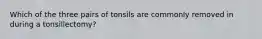 Which of the three pairs of tonsils are commonly removed in during a tonsillectomy?