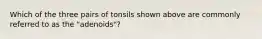 Which of the three pairs of tonsils shown above are commonly referred to as the "adenoids"?