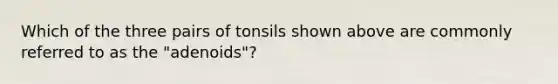 Which of the three pairs of tonsils shown above are commonly referred to as the "adenoids"?