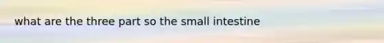 what are the three part so the small intestine