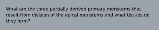 What are the three partially derived primary meristems that result from division of the apical meristems and what tissues do they form?