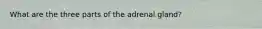 What are the three parts of the adrenal gland?