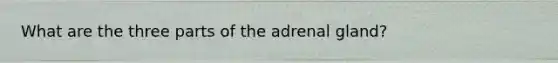 What are the three parts of the adrenal gland?