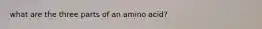 what are the three parts of an amino acid?