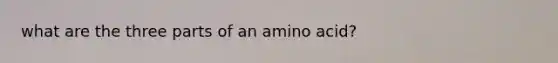 what are the three parts of an amino acid?