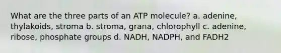 What are the three parts of an ATP molecule? a. adenine, thylakoids, stroma b. stroma, grana, chlorophyll c. adenine, ribose, phosphate groups d. NADH, NADPH, and FADH2