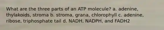 What are the three parts of an ATP molecule? a. adenine, thylakoids, stroma b. stroma, grana, chlorophyll c. adenine, ribose, triphosphate tail d. NADH, NADPH, and FADH2