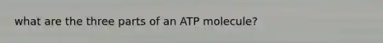 what are the three parts of an ATP molecule?