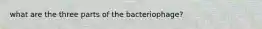 what are the three parts of the bacteriophage?