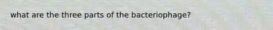 what are the three parts of the bacteriophage?